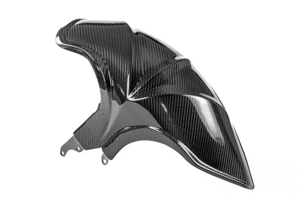 Ilmberger bakskärm blank kolfiber BMW R 1300 R/RS