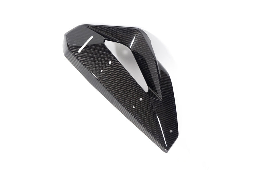 Ilmberger kolfiberkåpa vattenkylare + winglet-fäste M 1000 XR vänster