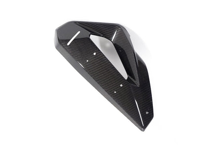 Ilmberger kolfiberkåpa vattenkylare + winglet-fäste M 1000 XR vänster