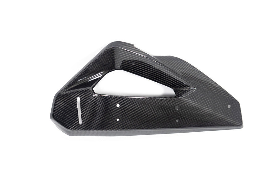 Ilmberger kolfiberkåpa vattenkylare + winglet-fäste M 1000 XR vänster