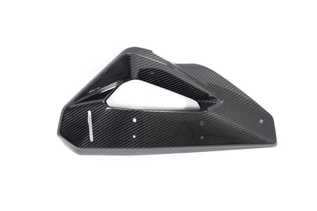 Ilmberger kolfiberkåpa vattenkylare + winglet-fäste M 1000 XR vänster