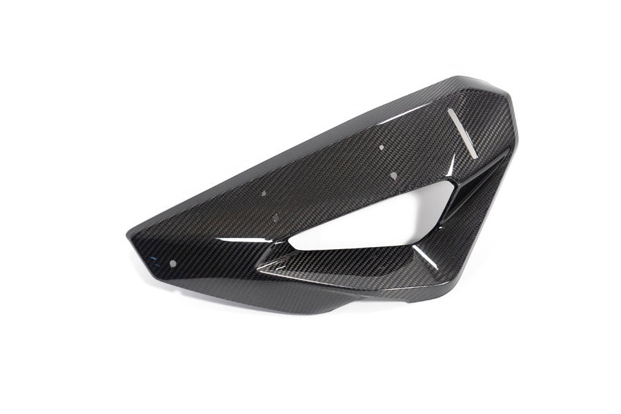 Ilmberger kolfiberkåpa vattenkylare + winglet-fäste M 1000 XR vänster