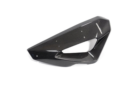 Ilmberger kolfiberkåpa vattenkylare + winglet-fäste M 1000 XR vänster