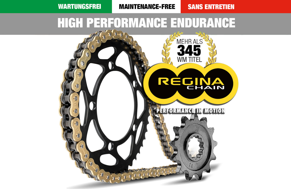 Regina HPE 525 kedjekit 116 länkar