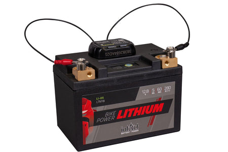 intAct Battery Guard