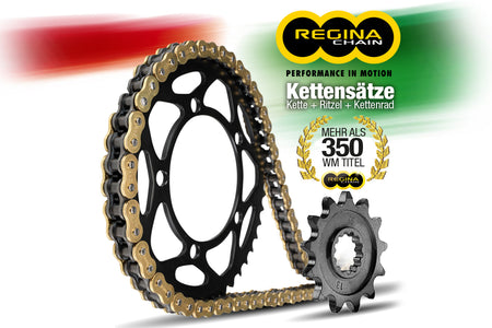 Regina ZRPO 525 kedjekit 114 länkar DesertX (Discovery)